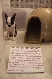 Hahaha Ok That S One Of The Funniest Ones I Ve Seen I Love Dog Shaming Dog Shaming Funny Dog Shaming Animal Shaming