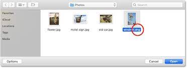 In the search field, type a search term. How To Open Images In Photoshop