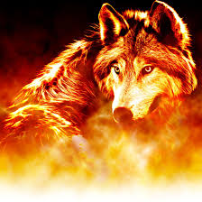 These issues likely arise due to windows 8's. Ice Wolf Wallpapers Wallpaper Cave