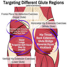 We did not find results for: Bret Glute Guy Contreras Phd On Instagram Want To Hammer The Entire Glutes Do Horizontal Hip Extension Exercises Hip Extension Exercise Hip Thrust Glutes