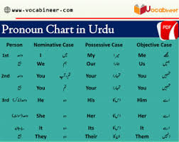 Pronoun Chart In Urdu