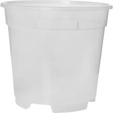 Ebertsankey Orchideentopf O 19 Transparent Kaufen Bei Obi