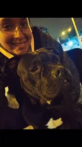 Alejandra 🐾 (@alebully.10)