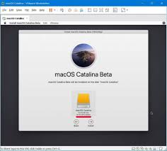 How To Install Macos Catalina On Vmware On Windows Pc New Installation Os Installation Vmware Workstation