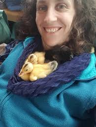 More ducklings 😉🐥🐥🐥