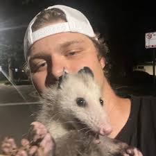 Polar Plunge® Chicago for Special Olympics Illinois presented by Special  Children's Charities