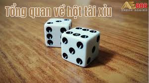Sr88vin Bet