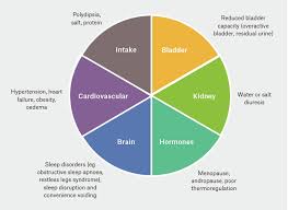 Racgp Questions To Ask A Patient With Nocturia