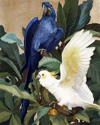 Benjaminpelemele Jessie Arms Botke In 2020 Parrots Art Birds Painting Bird Artwork
