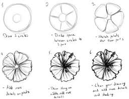 Pinterest Blog Cool Pinning Flower Drawing Tutorials Flower Drawing Botanical Line Drawing