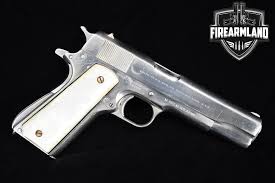 Image result for Warm White 1981 Colt