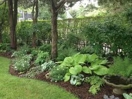 Shade Gardens Zone 5 Google Search Garden Ideas Under Trees Shade Landscaping Shade Garden