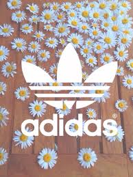 Resultado de imagem para wallpapers pinterest