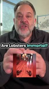 How Do Lobster Scales Sork