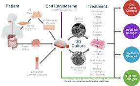 Check spelling or type a new query. Introduction To 3d Cell Culture
