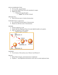 *zygote* derived from the greek meaning 'yoked', a zygote is the cell that results from fertilization. Sexual Reproduction