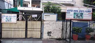 Click your cute pet patients to pick them up. Top 10 Pet Clinics In Kota Rajasthan Best Dog Clinics Justdial