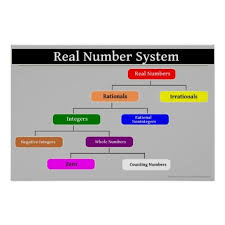 Real Number System Math Poster Zazzle Com Number System Math Real Number System Math Poster