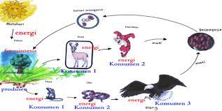 Xftgd9spg8j96m