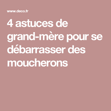 Epingle Sur Astuces Pour La Maison
