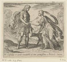 Image result for Procris