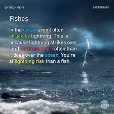 Environment Environment Lightning Strikes Ocean