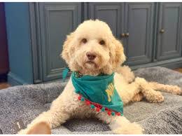 Catherine Cotroneo's Instagram, Twitter & Facebook