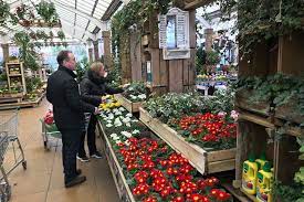 This section is not shoppable, but it will allow you to come to our garden centre with. Coronavirus Latest Record Garden Retail Online Sales As Garden Centre Opening Comes Under Threat Horticulture Week