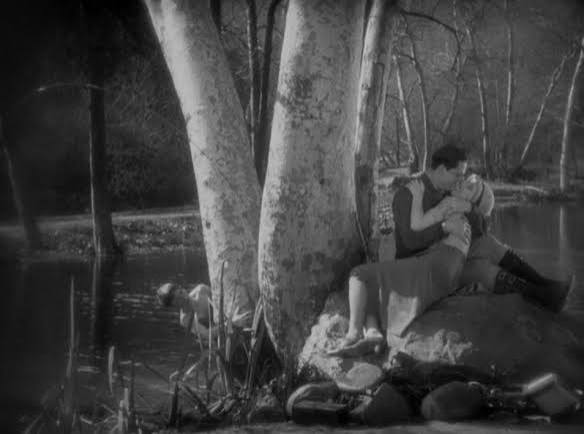 Should Old Acquaintance Be Forgot? The Divorcée (1930) | Nitrate Diva