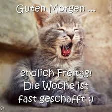 Guten Morgen Endlich Freitag Endlich Freitag Guten Morgen Halfpint Diy Guten Morgen Freitag Endlich Freitag Endlich Freitag Bilder