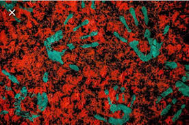 We did not find results for: Puisi Hari Jumat Malam Sabtu Kompasiana Com