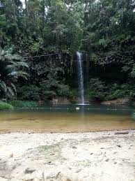 Taman nasional perbukitan lambir (id); Miri Pesona Wisata Tapal Batas Malaysia Reddoorz Blog