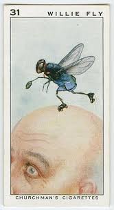 Pin On Alter Of Sweet Butter