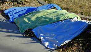 Check spelling or type a new query. How To Cover Plants For Frost Protection