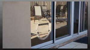 Cat door panel window insert. Hartley Glass Adelaide Pet Doors