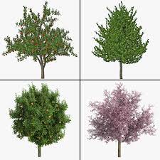 In today's uncertain times, more people are looking to plant nut trees and fruit trees and plants now than ever before. Fruit Tree 3d Max