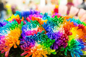 Resultado de imagem para cores