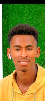 Temesge Abesha Abesha