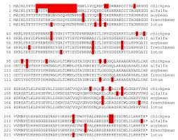 Image result for Wajira grahamiana