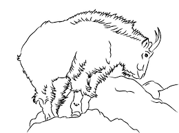 Band Leader Mountain Goat Coloring Pages Color Luna