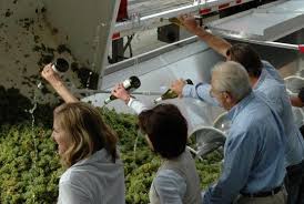 Left To Right Winemaker Sarah Quider Proprietors Rhonda Don Carano And Director Of Vineyard Operations Steve Domenic Sonoma Sonoma County Sauvignon Blanc