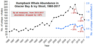 Recent Declines In Humpback Whales In Glacier Bay Icy