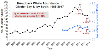 recent declines in humpback whales in glacier bay icy