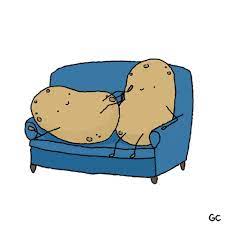 3000+ free animated gifs.for work. My Cat Is Not A Couch Potato Gifs Get The Best Gif On Giphy
