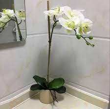 Cheap Orchid Flower Arrangements Buy Quality Real Touch Directly From China Artificial Orchid Orchid Flower Arrangements Orchid Arrangements Bathroom Flowers