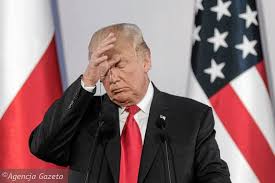 images?q=tbn:ANd9GcRqDK-Xyod03azT5bt70vV