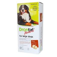 When to deworm a puppy. Drontal Dog Dewormer Large Flavoured Box Of 24 Pet Plus