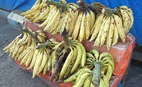 Pisang tanduk biasanya hanya mempunyai satu atau dua sisir buah sahaja. Jangan Salah Pilih Ini 4 Jenis Pisang Yang Pas Untuk Digoreng Simak Juga Tips Agar Pisang Goreng Renyah Tahan Lama Semua Halaman Bobo