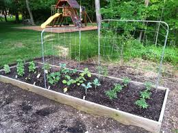 It's also an annual and very sensitive to any frost, so don't abandon the oregano altogether. What Is The Best Way To Prevent Animals From Eating My Garden Without A Fence Gardening Landscaping Stack Exchange