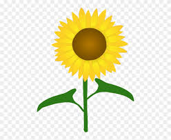 Free Free Sunflower Svg File Free 95 SVG PNG EPS DXF File